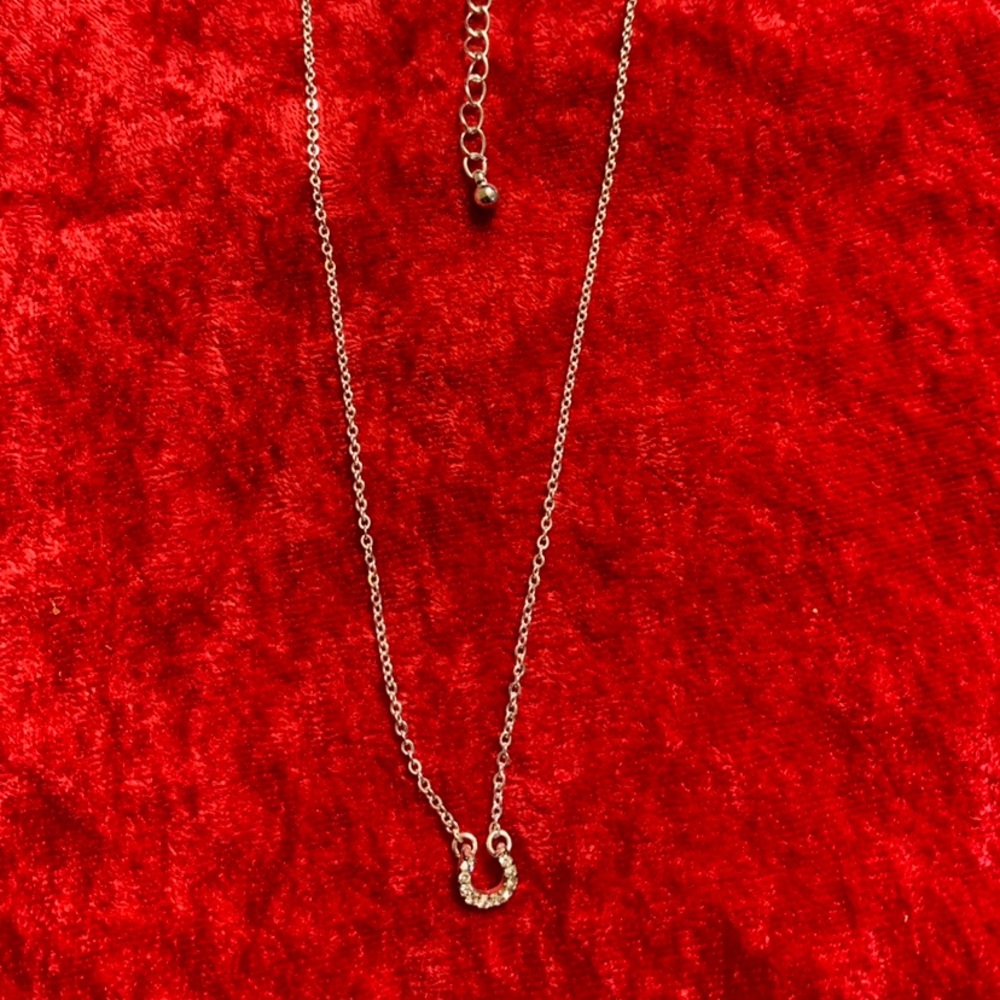 Horse shoe sliver necklace